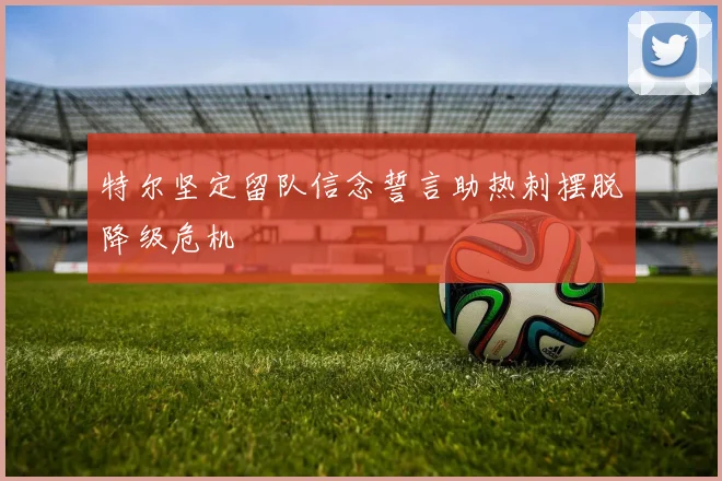 特尔坚定留队信念誓言助热刺摆脱降级危机